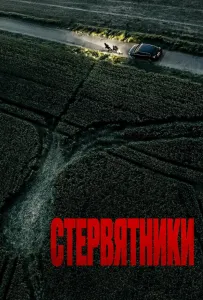 Стервятники (фильм 2025)