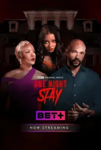 На одну ночь (фильм 2024)