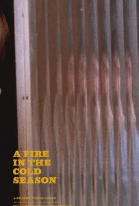 Пожар в холодное время года (фильм 2020)