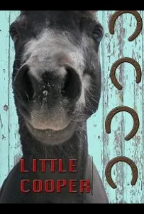 Маленький Купер (фильм 2020)
