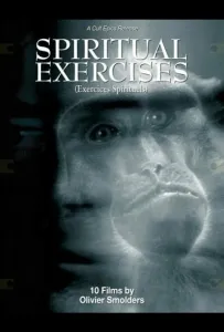 Любитель (фильм 1996)