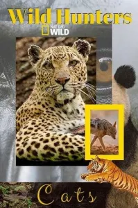 Дикие охотники. Кошки (фильм 2019)