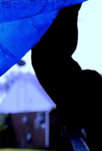 Красная маска смерти (фильм 2019)