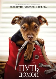 Путь домой (фильм 2019)